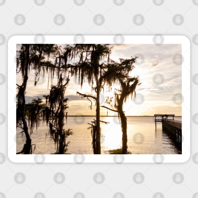 Florida Sunset - Jacksonville, St. John's River Sticker by SafariByMarisa